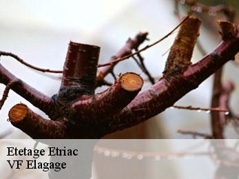 Etetage etriac-16250 VF Elagage