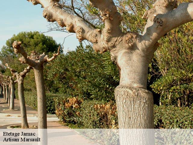 Etetage jarnac-16200 Artisan Marsault