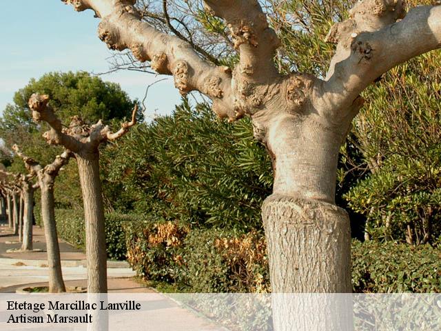 Etetage  marcillac-lanville-16140 Artisan Marsault