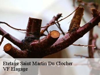 Etetage  saint-martin-du-clocher-16700 VF Elagage