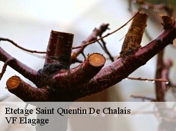 Etetage saint-quentin-de-chalais-16210 VF Elagage