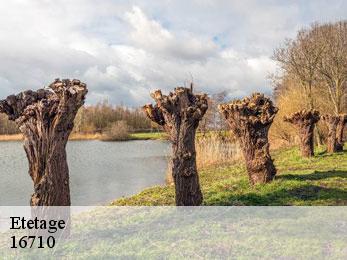 Etetage  16710
