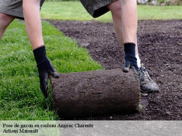 Pose de gazon en rouleau  angeac-charente-16120 Artisan Marsault