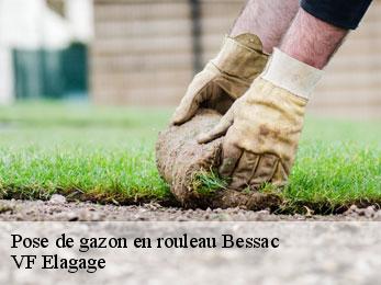 Pose de gazon en rouleau  bessac-16250 VF Elagage