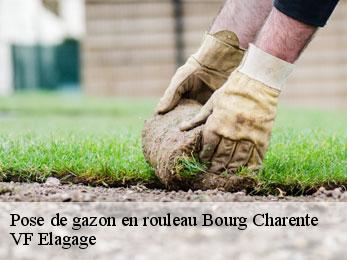 Pose de gazon en rouleau  bourg-charente-16200 VF Elagage