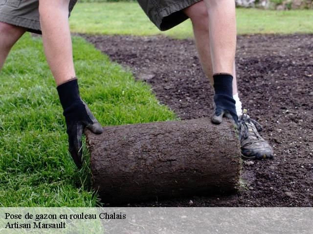 Pose de gazon en rouleau chalais-16210 Artisan Marsault