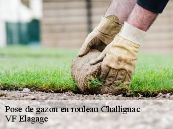 Pose de gazon en rouleau  challignac-16300 VF Elagage