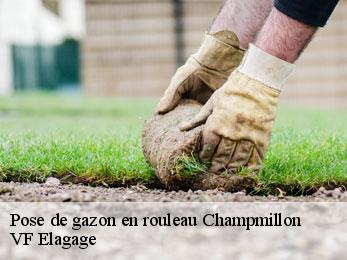 Pose de gazon en rouleau  champmillon-16290 VF Elagage