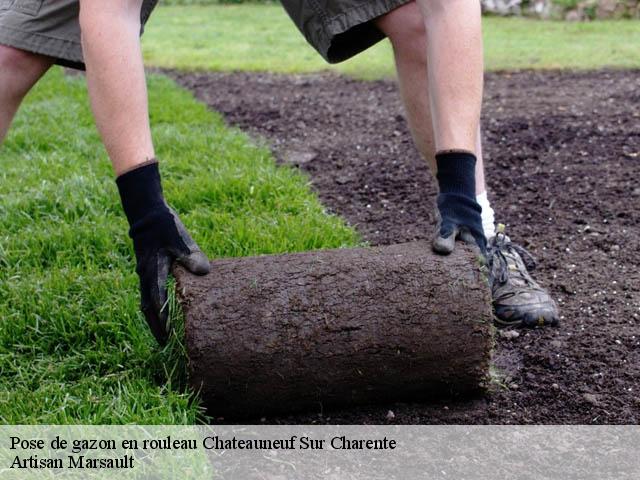 Pose de gazon en rouleau chateauneuf-sur-charente-16120 Artisan Marsault