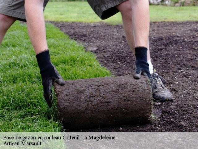Pose de gazon en rouleau  criteuil-la-magdeleine-16300 Artisan Marsault