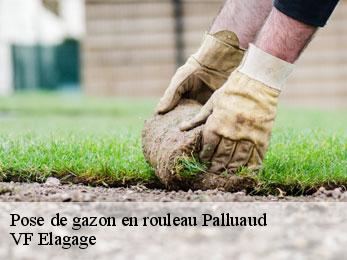 Pose de gazon en rouleau  palluaud-16390 VF Elagage