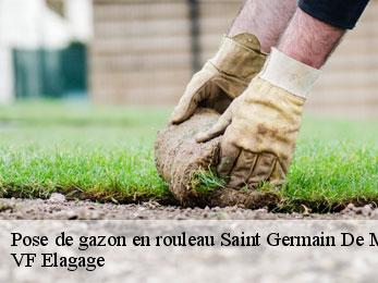 Pose de gazon en rouleau  saint-germain-de-montbron-16380 VF Elagage