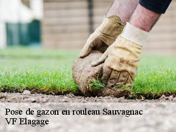 Pose de gazon en rouleau sauvagnac-16310 VF Elagage