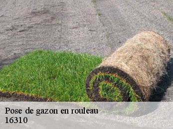 Pose de gazon en rouleau 16310