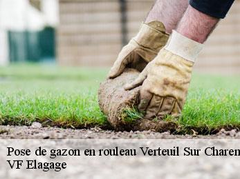 Pose de gazon en rouleau  verteuil-sur-charente-16510 VF Elagage
