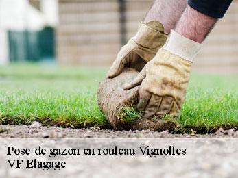 Pose de gazon en rouleau  vignolles-16300 VF Elagage